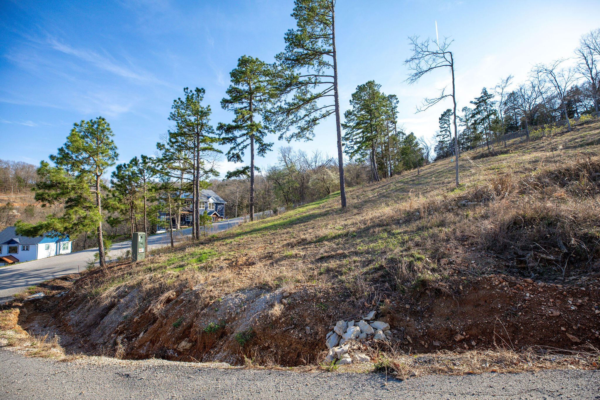 Lot 2 Grizzly Ridge Blue Eye, MO 65611 - Photo 13 of 24 Lot 2 A Grizzly Ridge