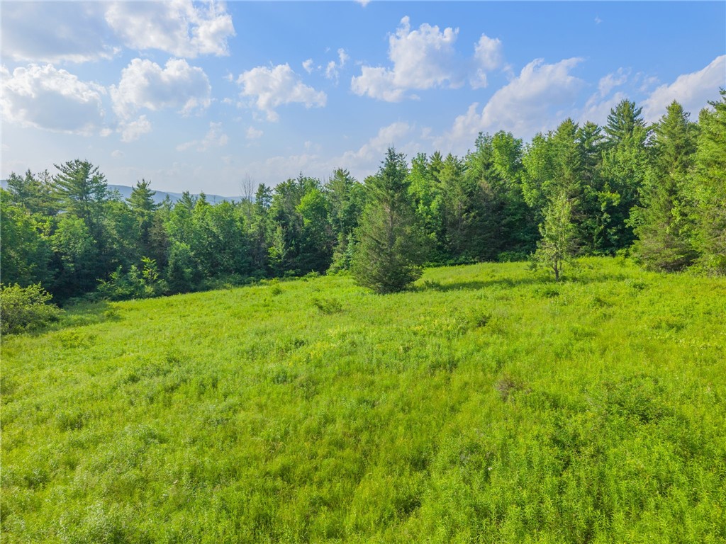Guinea Road Middleburgh, NY 12122 - Photo 5 of 10