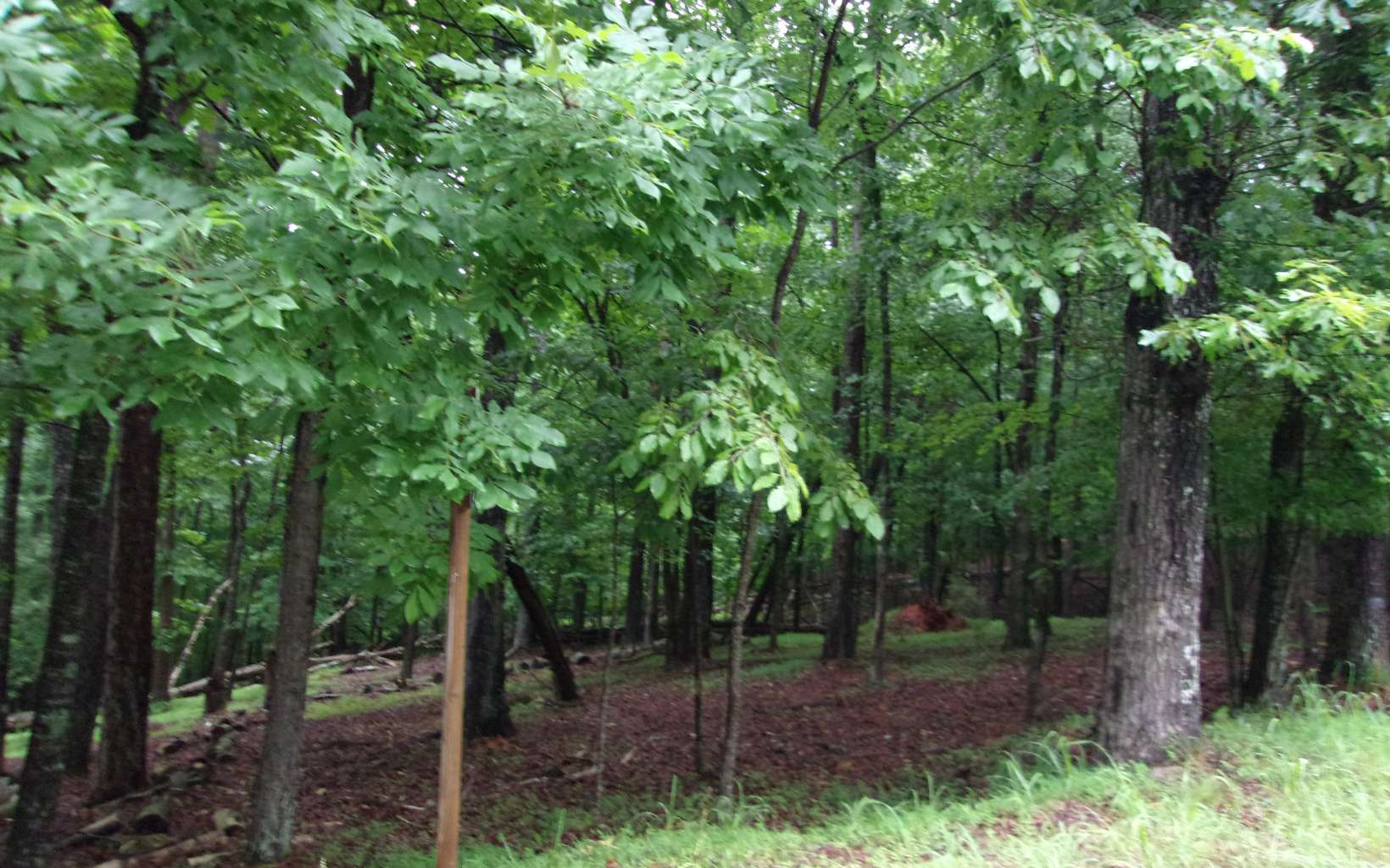 Lt476 Rivoli Court Ellijay, GA 30540 - Photo 2 of 4 Additional View