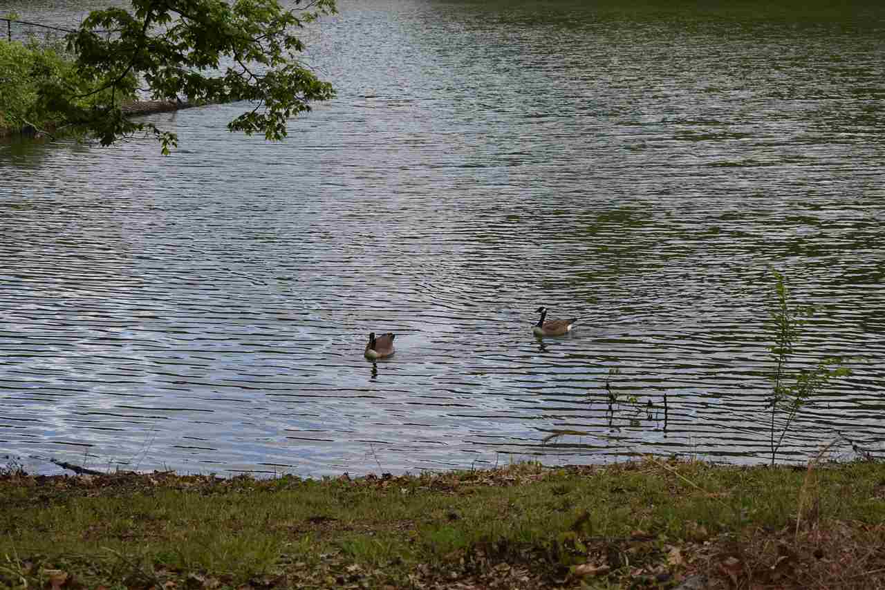 339 Hayes Road Munford, TN 38058 - Photo 16 of 20 Gallery Image 16