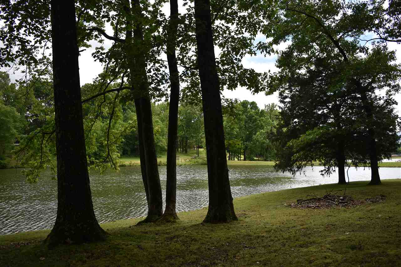 339 Hayes Road Munford, TN 38058 - Photo 18 of 20 Gallery Image 18