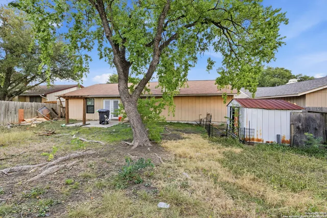 a backyard of a house with plants and large tree