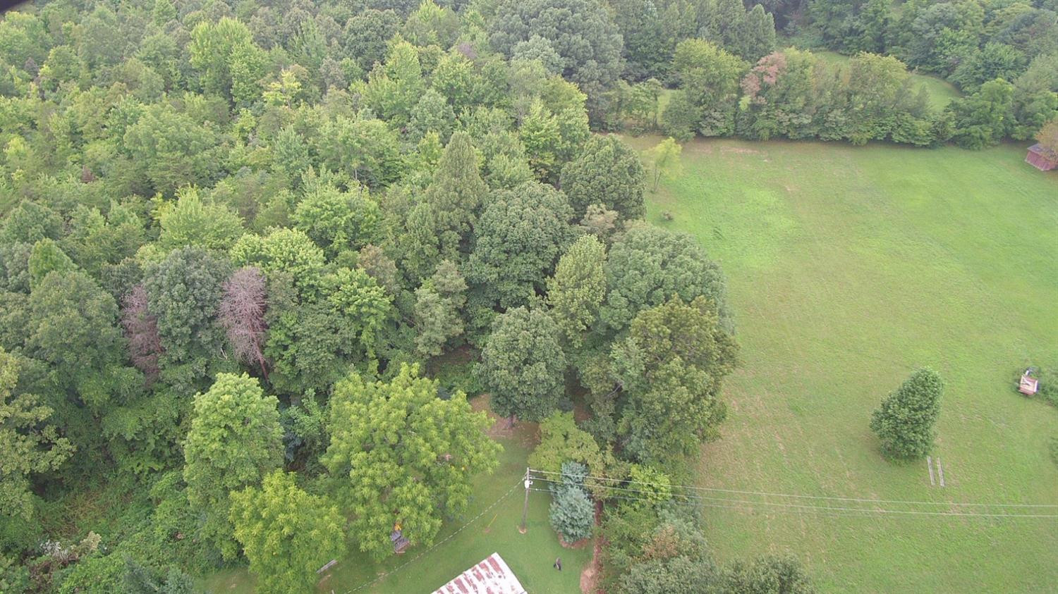9999 Galimore Road Pine Knot, KY 42635 - Photo 28 of 35 Photo 28
