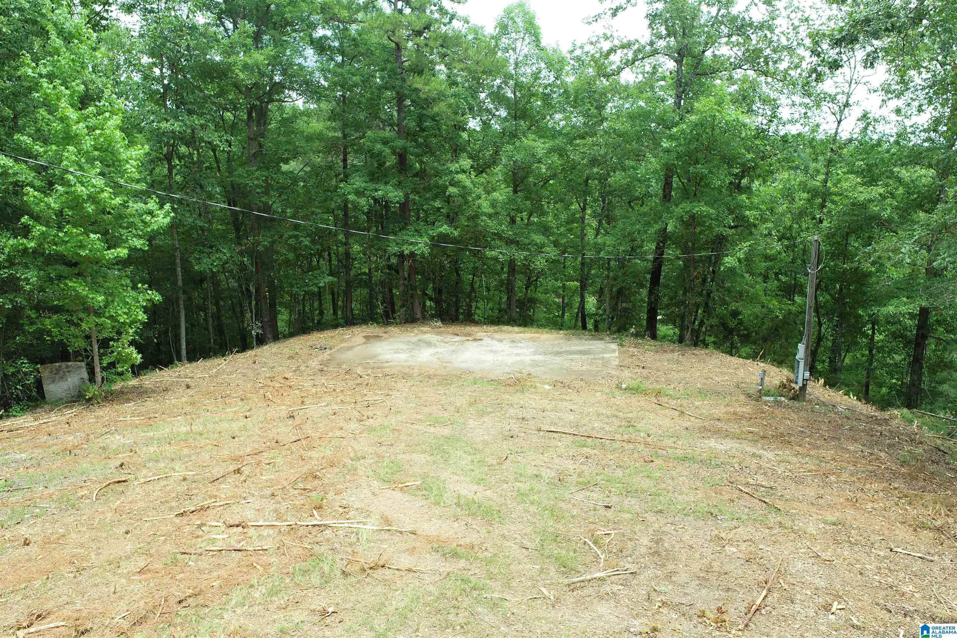 0 County Road 803, Unit 33 Wedowee, AL 36278 - Photo 8 of 14