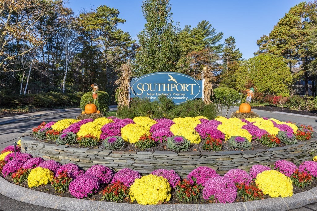 a view of outdoor area with flowers