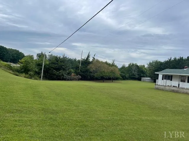 a view of a big yard with plants and large trees