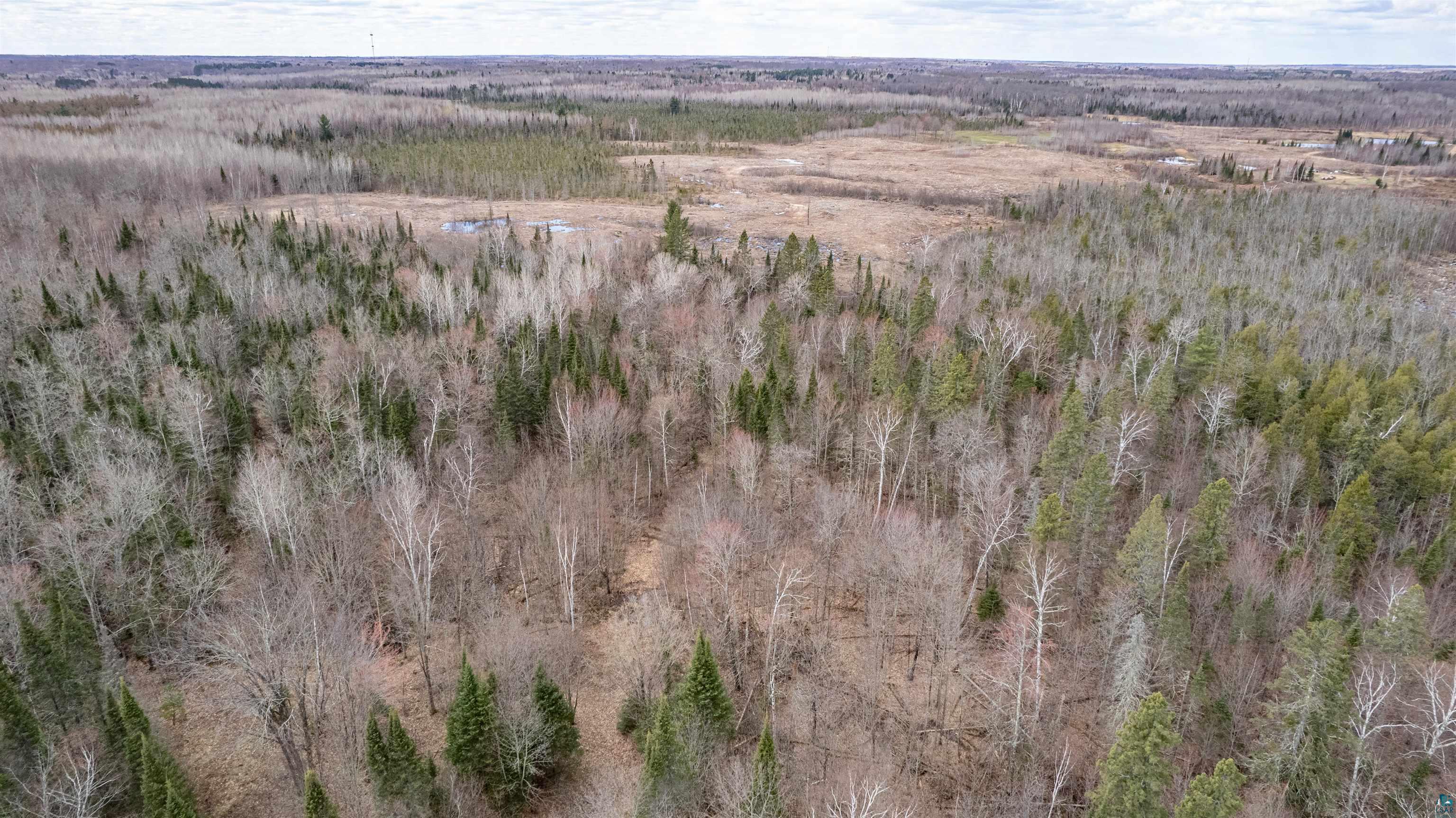 9942 East Fire Tower Road Lake Nebagamon, WI 54849 - Photo 7 of 32