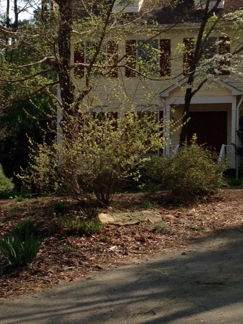 116 Hartland Court Raleigh, NC 27614 - Photo 25 of 25 Many plantings throughout the yard will make this yard beautiful to watch in the spring/summer seasons. Coachman's Trail has community pool, clubhouse, tennis courts and more. Welcome Home! Welcome Home