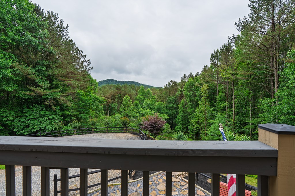 55 Ridge Top Drive Ellijay, GA 30536 - Photo 7 of 76