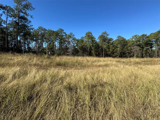 a view of yard with trees