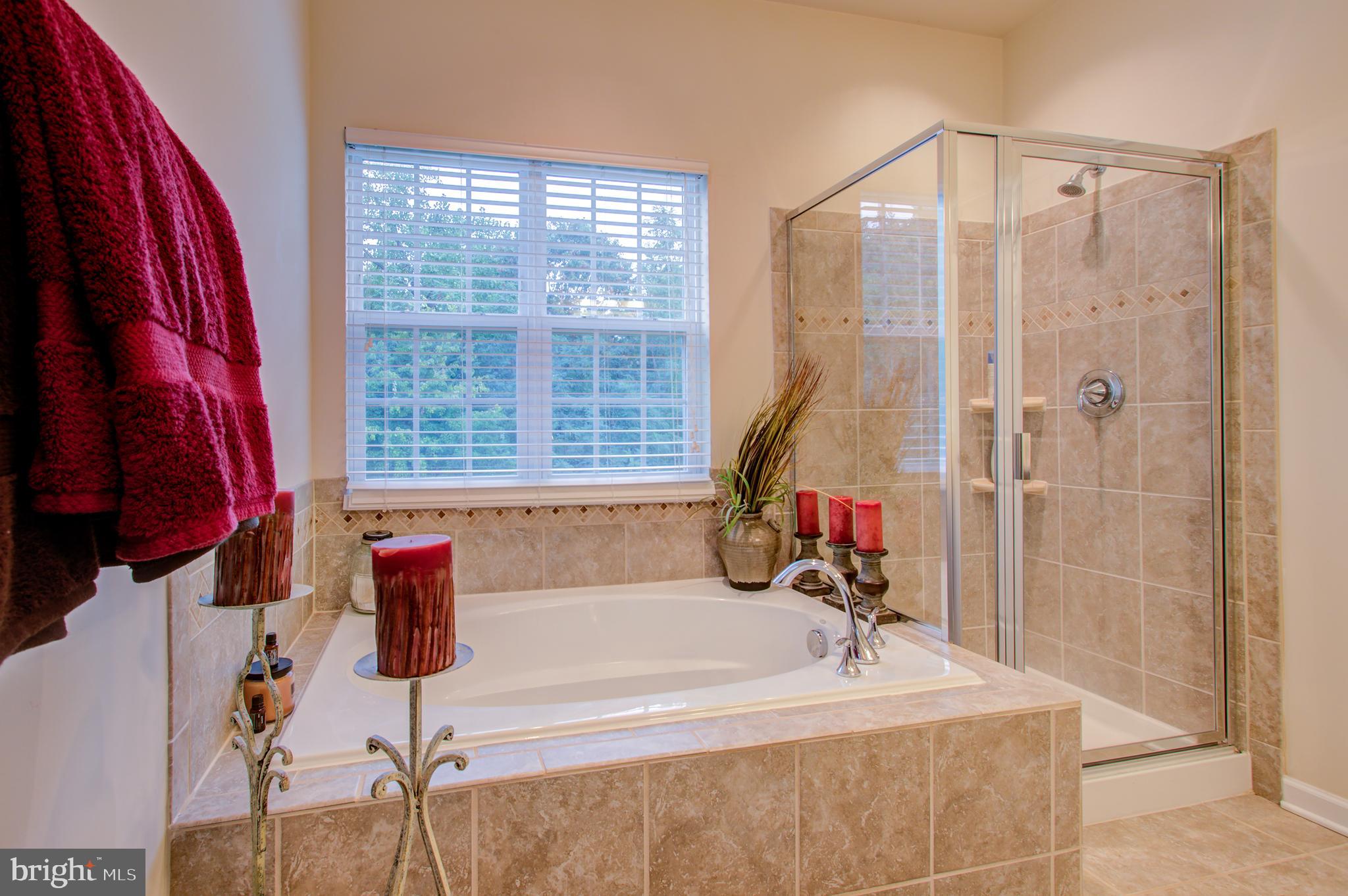 12601 Rustic Rock Lane Beltsville, MD 20705 - Photo 21 of 36 Primary Bathroom