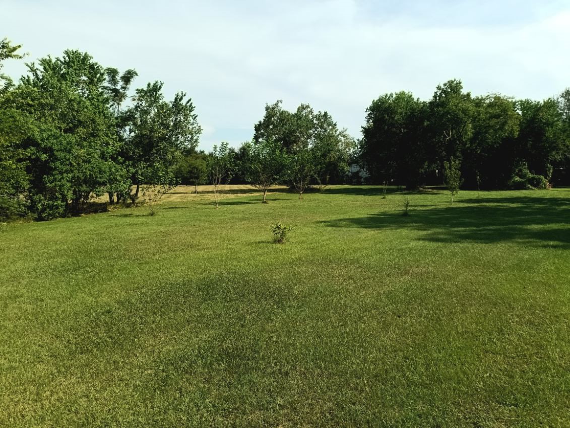 18106 Domino Road Waller, TX 77484 - Photo 15 of 16 a view of field with trees in the background