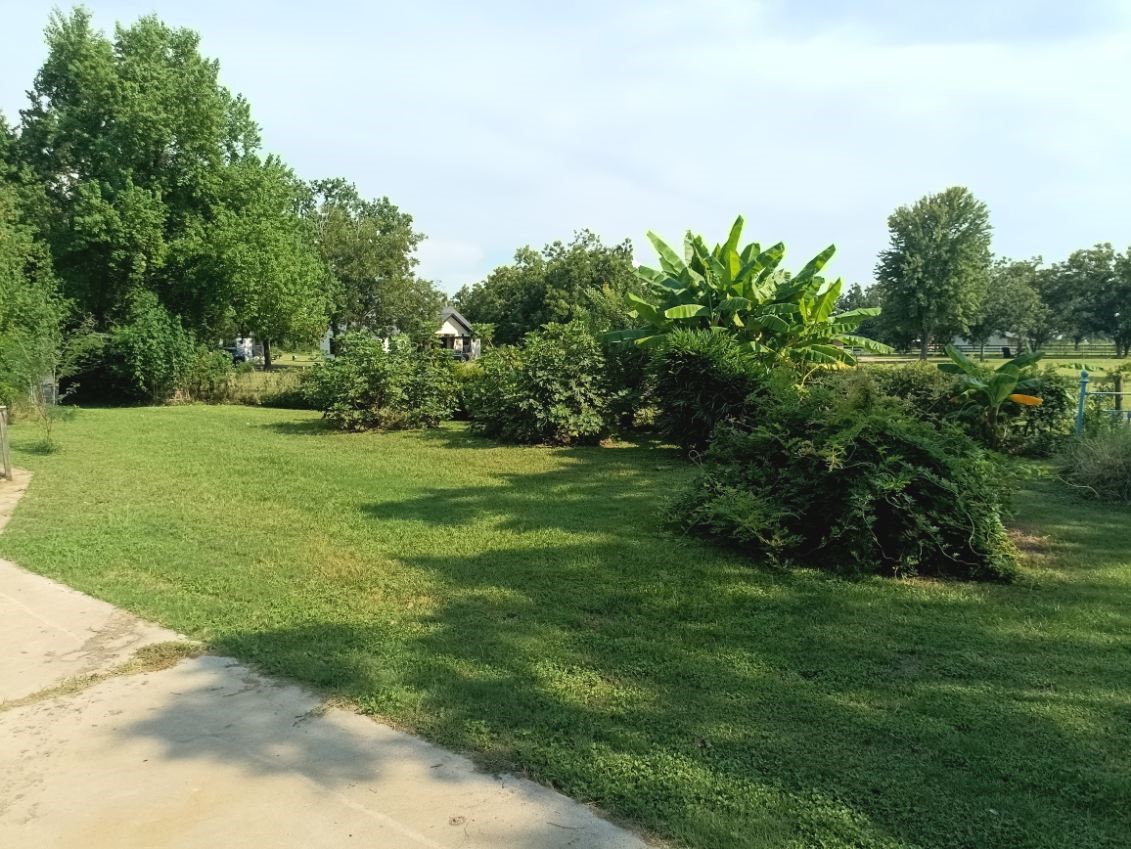 18106 Domino Road Waller, TX 77484 - Photo 4 of 16 a view of a big yard with plants and large trees