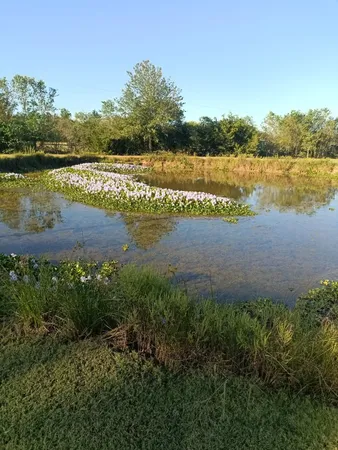 a view of a lake with houses in the back