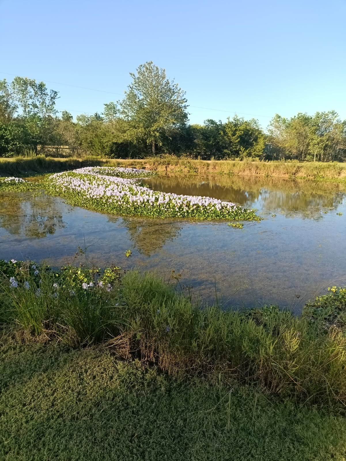 18106 Domino Road Waller, TX 77484 - Photo 5 of 16 a view of a lake with houses in the back