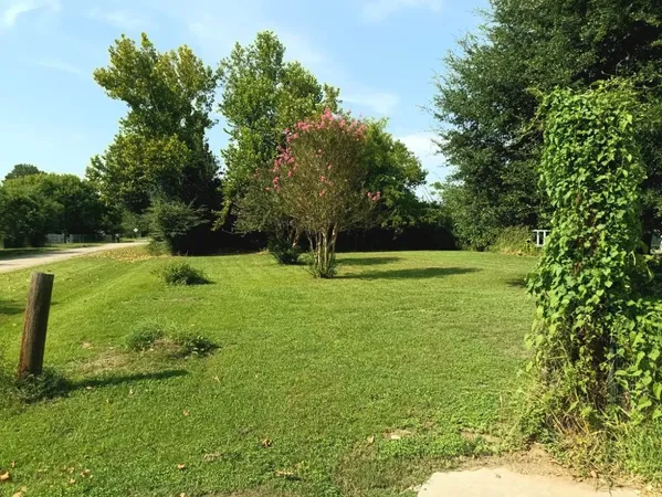 a garden with trees in the background