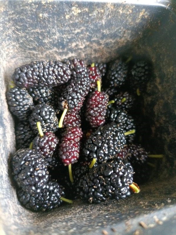 18106 Domino Road Waller, TX 77484 - Photo 9 of 16 a city view