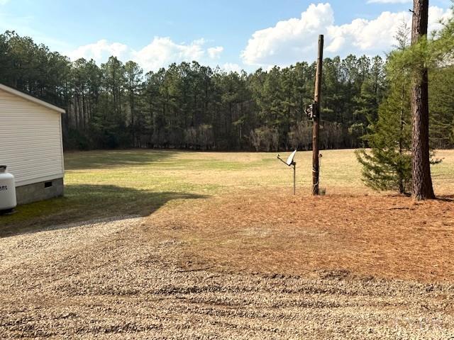 2041 Eureka Mill Road Keysville, VA 23947 - Photo 23 of 37