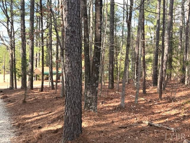 2041 Eureka Mill Road Keysville, VA 23947 - Photo 24 of 37