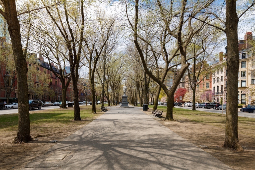 2 Commonwealth Avenue, Unit 8G Boston, MA 02116 - Photo 16 of 20 a tree in the middle of a yard