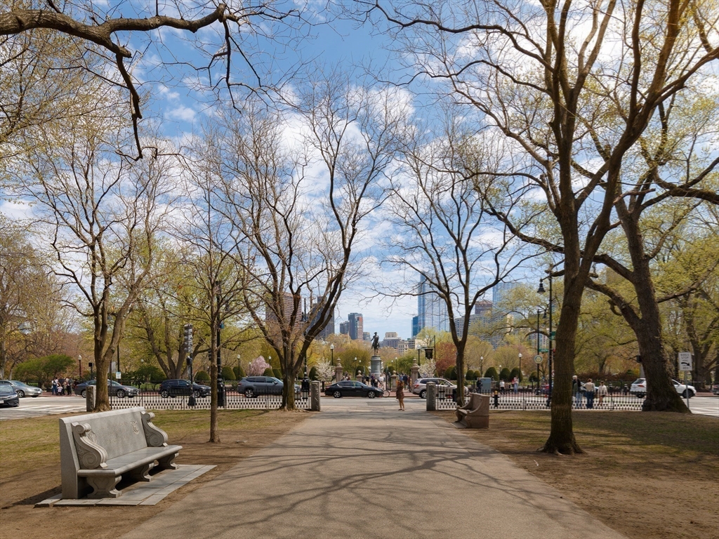 2 Commonwealth Avenue, Unit 8G Boston, MA 02116 - Photo 17 of 20 a view of a park with bench