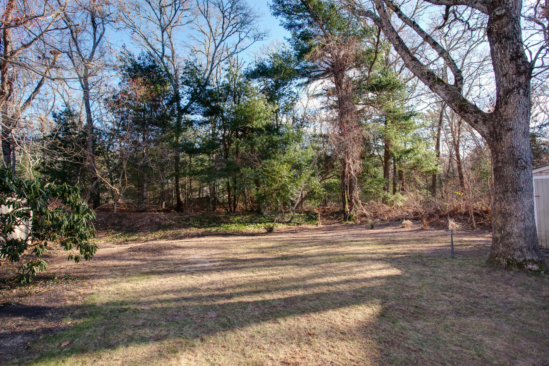 46 Thorne Road Bourne, MA 02532 - Photo 6 of 32 a view of road and trees