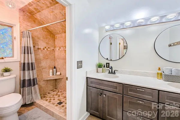 a bathroom with a sink and a mirror with toilet