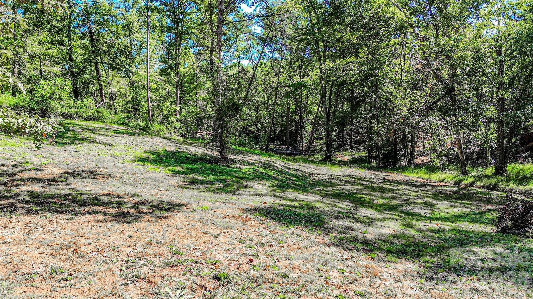 142 Padgett And Burns Road Forest City, NC 28043 - Photo 44 of 48 a big yard with lots of green space and deers