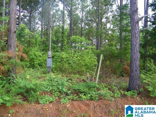 519 County Road, Unit 98 Woodland, AL 36280 - Photo 6 of 7