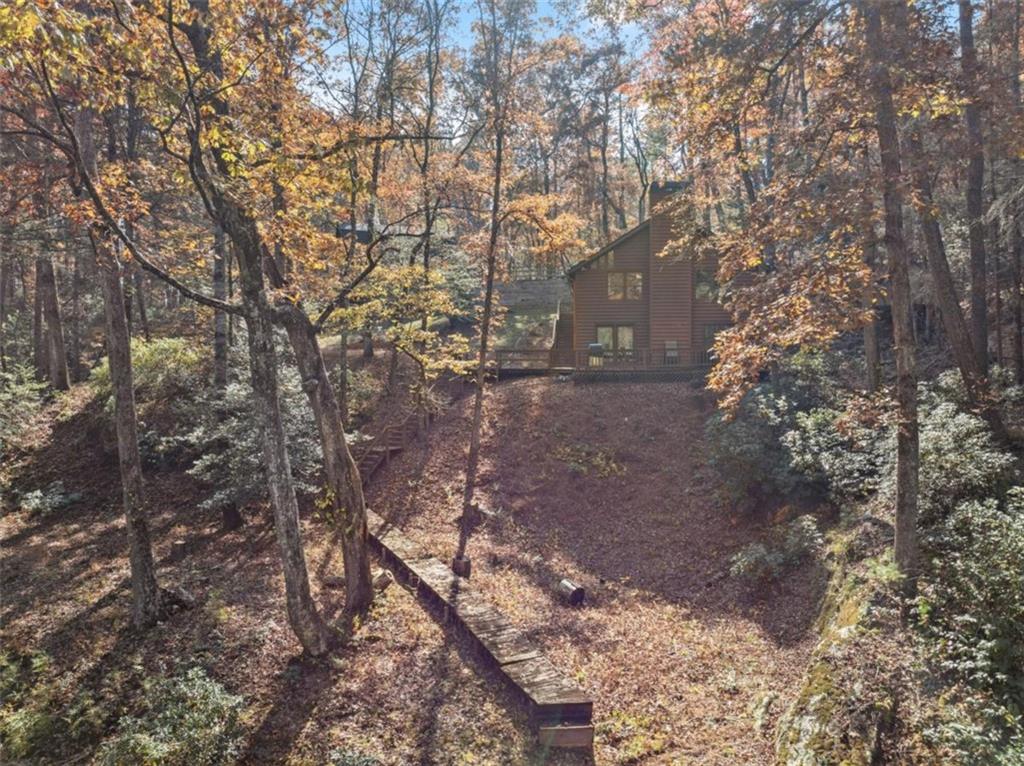 893 Hooper Road Cleveland, GA 30528 - Photo 61 of 68 a view of a yard with plants and trees