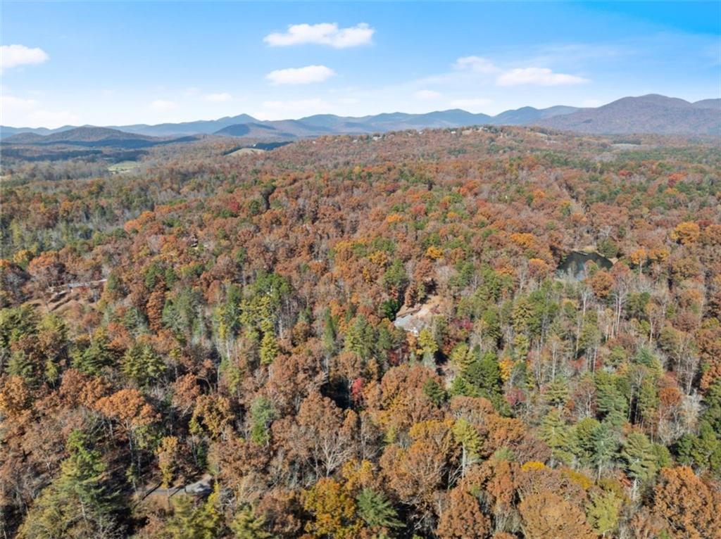 893 Hooper Road Cleveland, GA 30528 - Photo 67 of 68