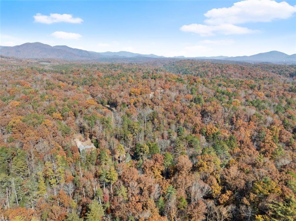 893 Hooper Road Cleveland, GA 30528 - Photo 68 of 68 a view of a city with mountains in the background