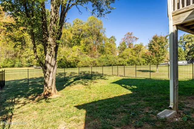 a view of backyard with tree