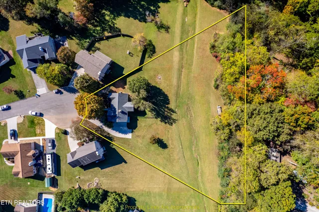 a view of a flowers in a lot of flowers