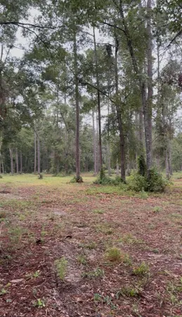 $340,000 | 4779 Northeast Bellville Road, Pinetta, FL 32350