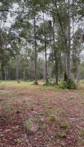 $295,000 | 4779 Northeast Bellville Road, Pinetta, FL 32350