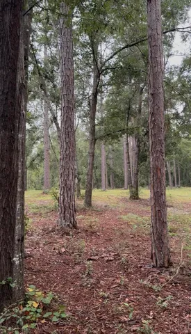 $295,000 | 4779 Northeast Bellville Road, Pinetta, FL 32350