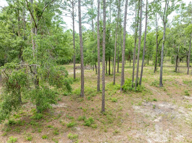 $295,000 | 4779 Northeast Bellville Road, Pinetta, FL 32350