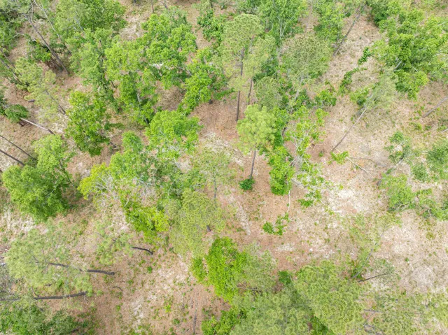 $295,000 | 4779 Northeast Bellville Road, Pinetta, FL 32350