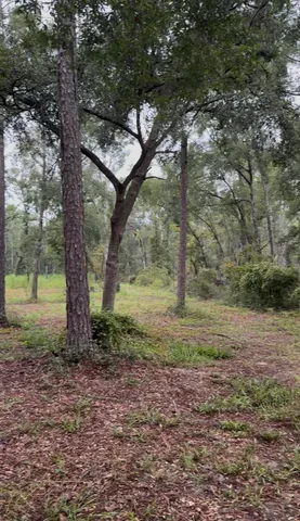 $295,000 | 4779 Northeast Bellville Road, Pinetta, FL 32350