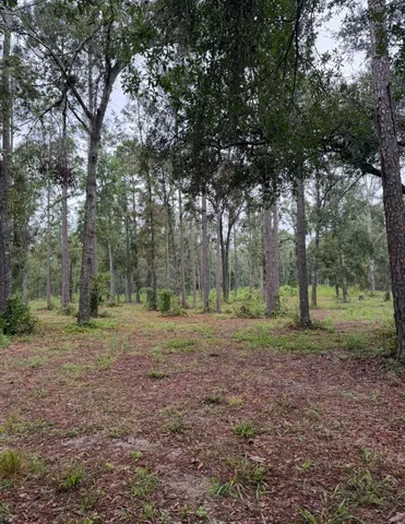 $295,000 | 4779 Northeast Bellville Road, Pinetta, FL 32350