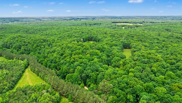 $700,000 | 0 Little Hurricane Creek Road, McEwen, TN 37101