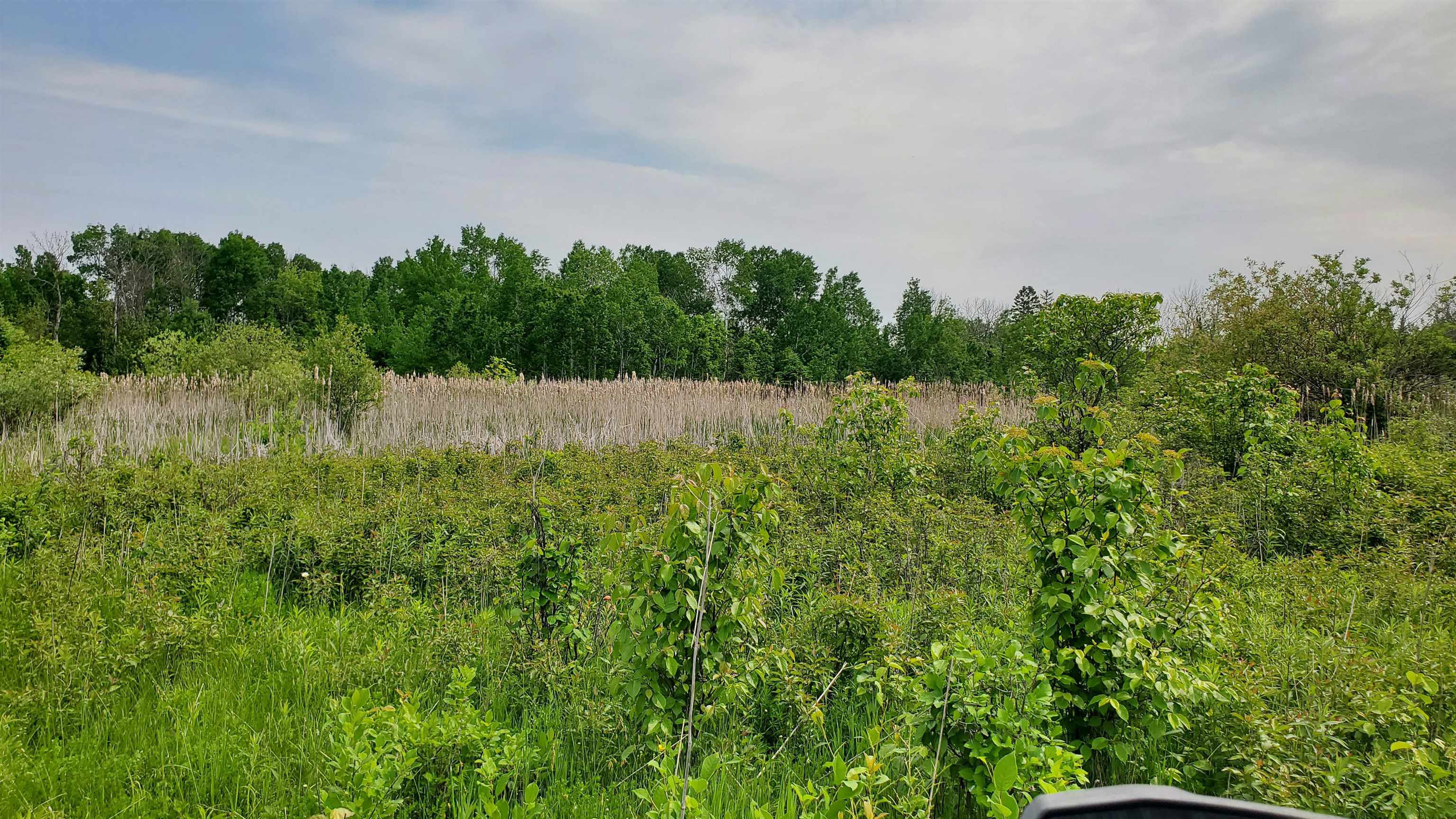 70355 Laine Road Iron River, WI 54847 - Photo 39 of 40
