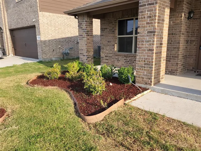 a view of a backyard with plants