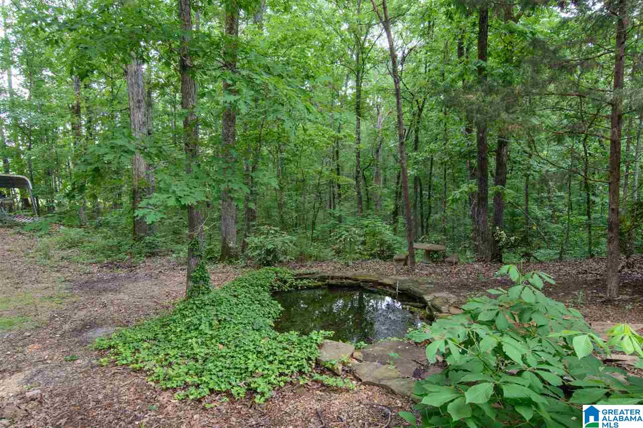 410 Rolling Oaks Drive Springville, AL 35146 - Photo 49 of 50