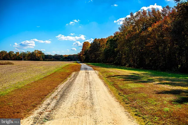a view of a lake with a beach