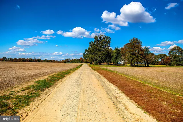 a view of an ocean and beach