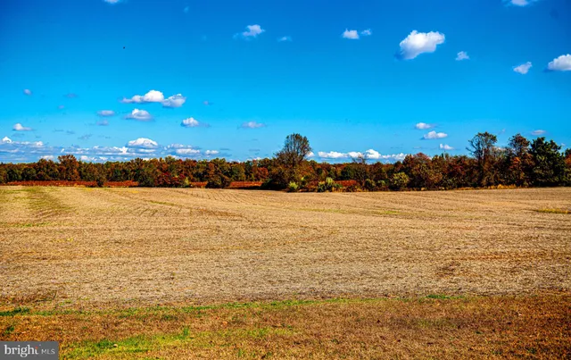 a view of an ocean and beach