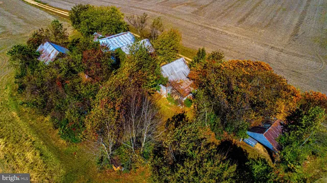 a view of a yard covered with trees