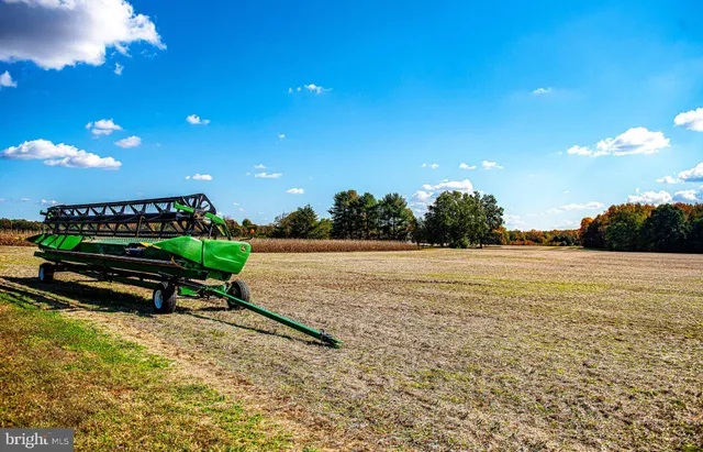 a view of swimming pool and an outdoor space